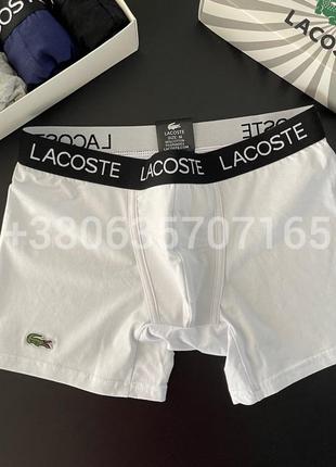 Хіт. чоловіча білизна lacoste black8 фото