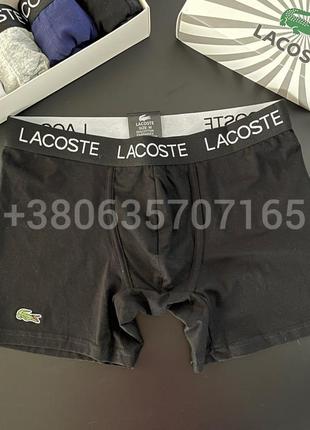 Хит. мужское белье lacoste black9 фото