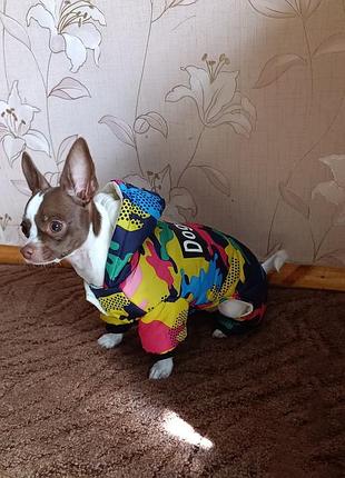 Товари для тварин