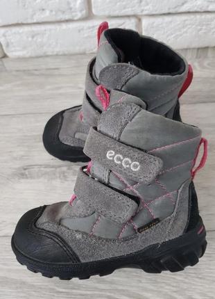 Продам зимние ботинки ecco р. 22