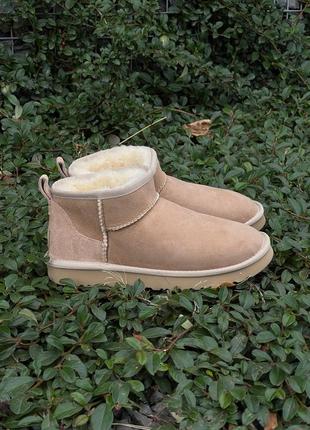 Женские угги ugg