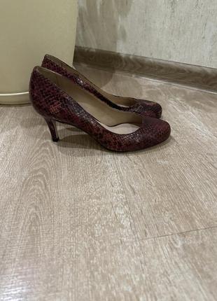 Черевики шкіра andre