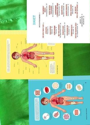 Тіло людини. розвивальні завдання для дітей3 фото
