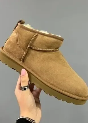 Угги замшевые зимние ❄ugg classic mini ii boots chestnut1 фото