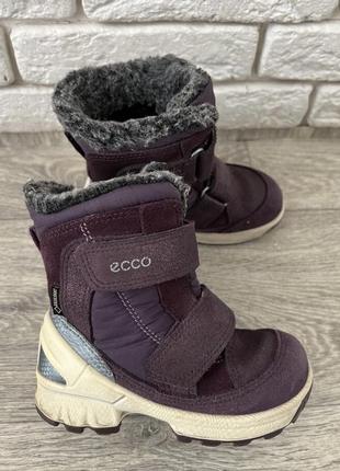 Продам зимние ботинки ecco р. 231 фото