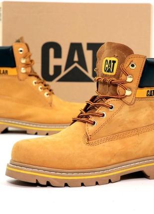 Зимові жіночі черевики caterpillar winter beige yellow (хутро)38