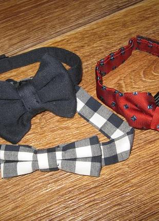 Метелики-краватка