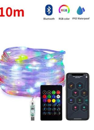 Светодиодная уличная led гирлянда 10м smart bluetooth app usb rgb color 10m / 100leds