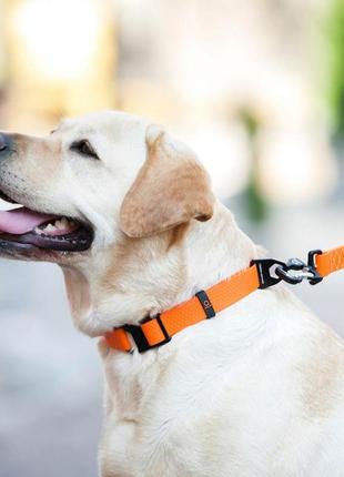Ошейник collar evolutor для собак средних, крупных и очень крупных пород, 25-70 см, оранж