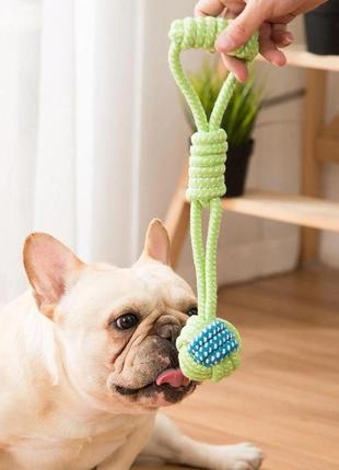 Іграшка канат з м'ячем для собак салатового кольору1 фото