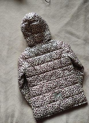 Демисезонная куртка для диачинки леопард2 фото