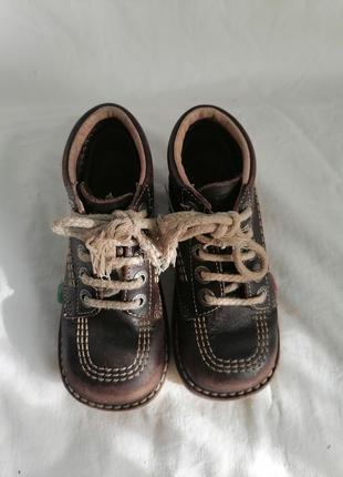 Детские демисезонные кожаные ботинки kickers5 фото