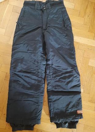 Штани лижні