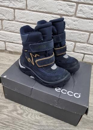 Продам зимние ботинки ecco р. 25