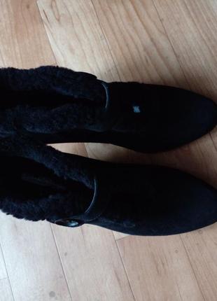 Женские замшевые ботинки с натуральным мехом bruno magli2 фото