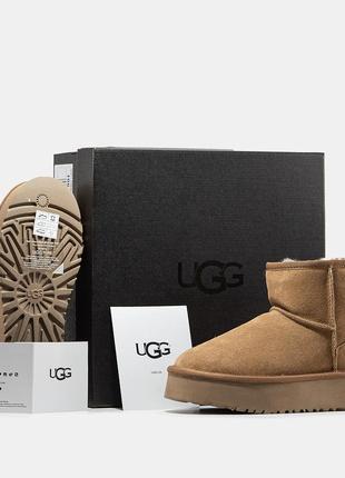 Уггі на овчині ugg mini platform3 фото