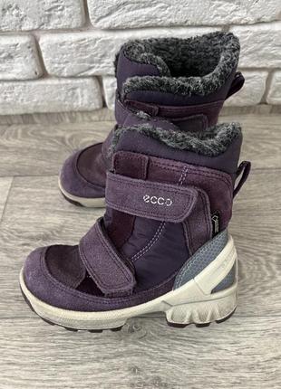 Продам зимние ботинки ecco р. 25