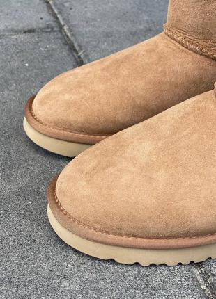 Зимние угги ugg classic short ii chestnut9 фото