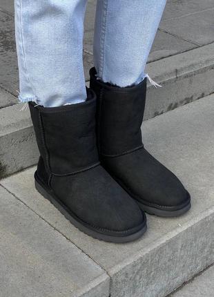 Зимние угги ugg classic short ii black4 фото