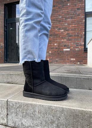 Зимние угги ugg classic short ii black
