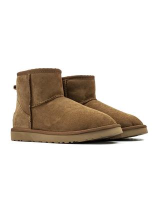 Угги ugg