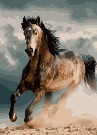 Картина по номерам лошадь в яблоках 40 х 50  artissimo pn4340
