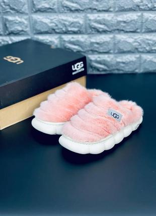 Тапочки ugg australia