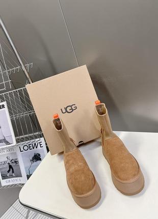 Ugg угги classic dipper1 фото