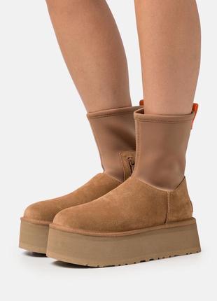 Зимові чоботи ugg classic dipper в стиле ugg8 фото