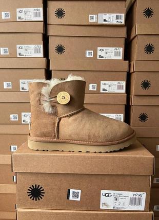 Жіночі уггі коричневі ugg mini bailey button chestnut