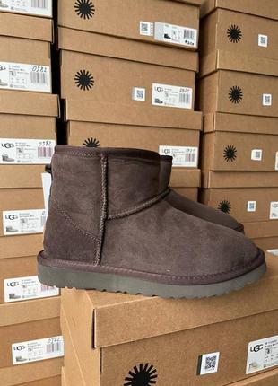 Женские угги ugg classic mini brown