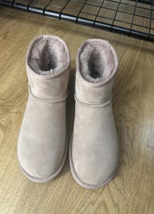 Ugg classic mini pale smoke оригинал 100%