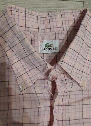 Рубашка lacoste2 фото