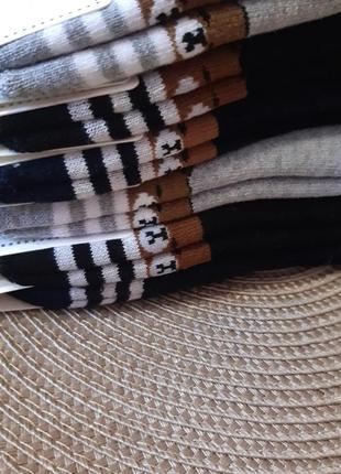 Носки махра.