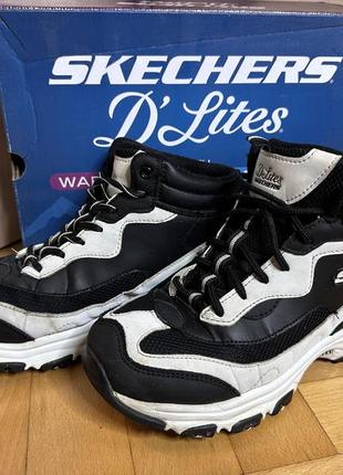 Черевики, кросівки d'lites (167265 bkw) skechers1 фото