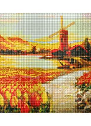 Алмазна мозаїка "у долині тюльпанів" 40х50 см amo7649 ідейка (masiki.kiev.ua)1 фото