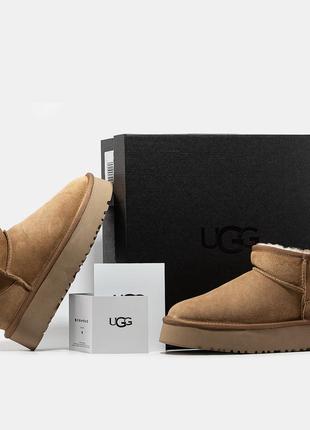 Женские угги ugg mini platform6 фото