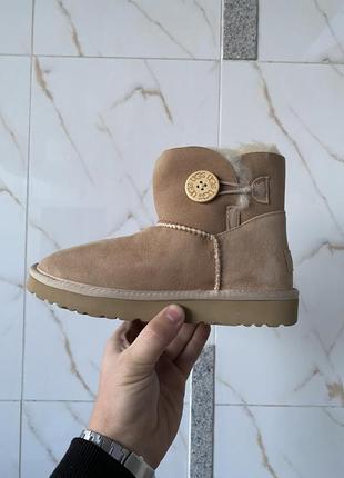 Женские мини угги на пуговице mini ugg bailey button