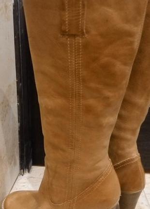 Сапоги демисезонные