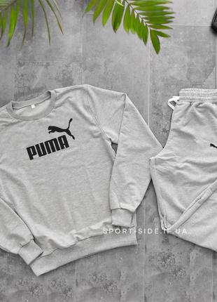 Мужской спортивный костюм puma (пума) светло серый , свитшот штаны (толстовка худи лонгслив)