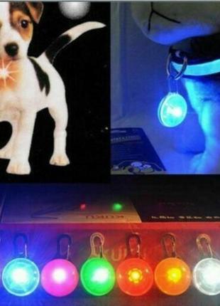 Світлодіодний led ліхтарик для собак і котів на нашийник брелок ліхтарик для ключів, сумок, рюкзаків1 фото