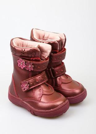 Черевики flamingo бордовий (pk-sc2414-burgundy)