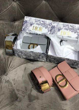 Сумка як dior montaigne mini box