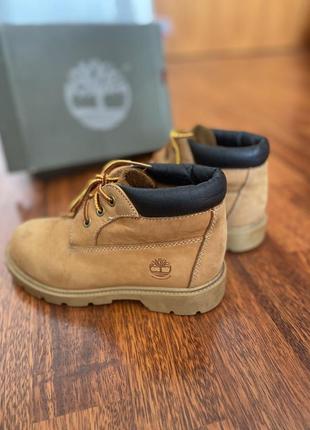 Черевики timberland2 фото