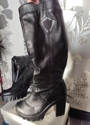 Сапоги жіночі