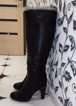 Сапоги зимние baldinini