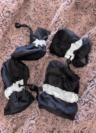 Чобітки для собаки