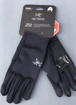 Варежки arcteryx