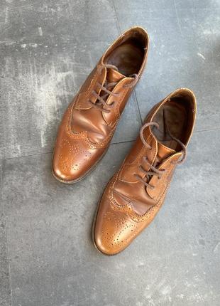 Стильные кожаные туфли оксфорды massimo dutti, коричневые туфли, кожаные туфли, обувь1 фото
