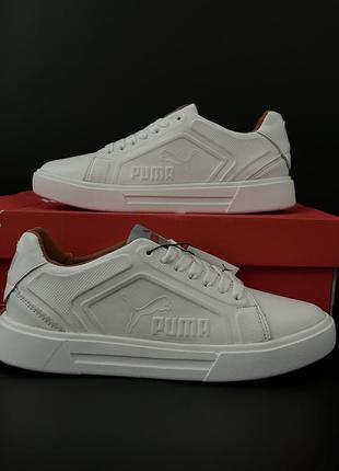 Puma